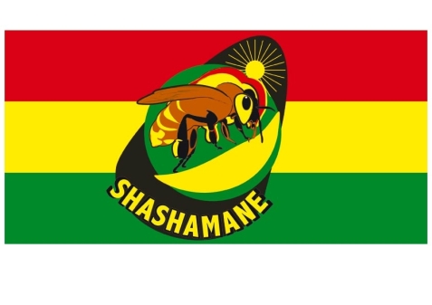 rastafarisme -  Dossier : Histoire du rastafarisme Flag-shashamane-copie5b15d1